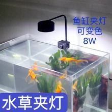 魚缸燈的價(jià)格范圍是多少？（百元以內(nèi)魚缸燈怎么選魚缸燈哪個牌子好用不踩雷）