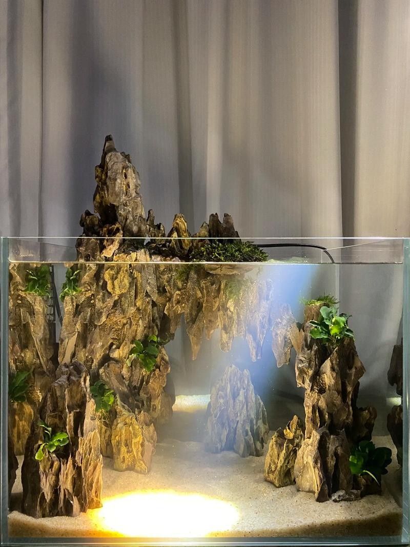 魚缸燈的價(jià)格范圍是多少？（百元以內(nèi)魚缸燈怎么選魚缸燈哪個牌子好用不踩雷）