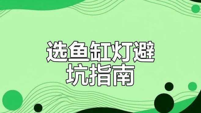 魚缸燈的價(jià)格范圍是多少？（百元以內(nèi)魚缸燈怎么選魚缸燈哪個牌子好用不踩雷）