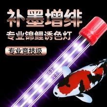 魚缸燈的價(jià)格范圍是多少？（百元以內(nèi)魚缸燈怎么選魚缸燈哪個牌子好用不踩雷）