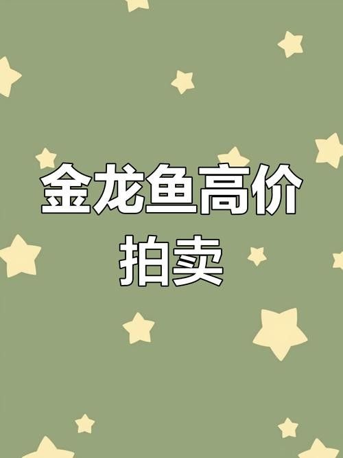 金頭金龍的市場價格走勢如何（金頭金龍魚市場價格表大全金龍魚多少錢一條）