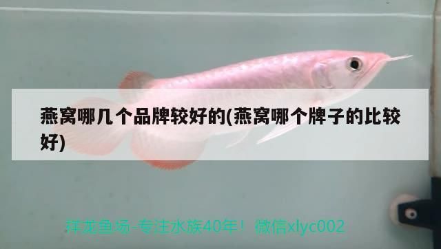 燕窩哪幾個品牌較好的(燕窩哪個牌子的比較好)（燕窩什么牌子的燕窩什么牌子比較好燕窩什么牌子好）