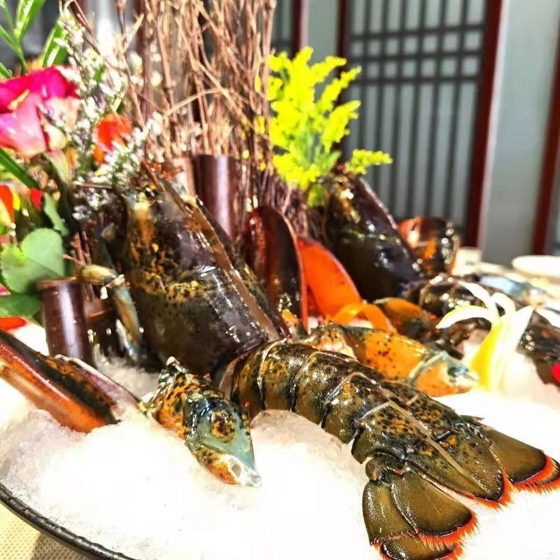 昆明閩浙海鮮有龍魚嗎（昆明閩浙海鮮市場是否提供龍魚）