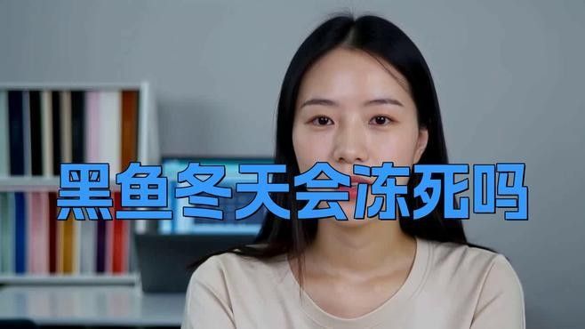 金龍魚和黑魚哪個更耐低溫？（金龍魚和黑魚哪個更耐高溫？）