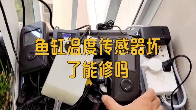如何設置魚缸溫控器？（小米魚缸溫控器設置指南：魚缸溫控器的設置指南）