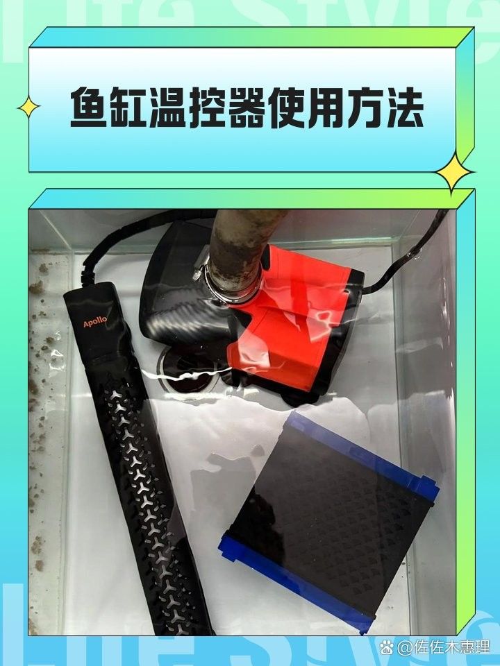 如何設置魚缸溫控器？（小米魚缸溫控器設置指南：魚缸溫控器的設置指南）