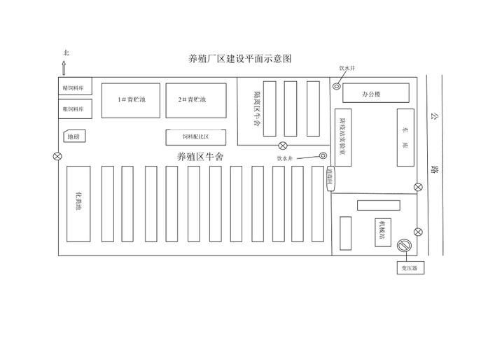 混養時如何避免攻擊行為？（養雞怕打架6個實用方法讓雞群和諧不互啄悅己茶舍魚缸）