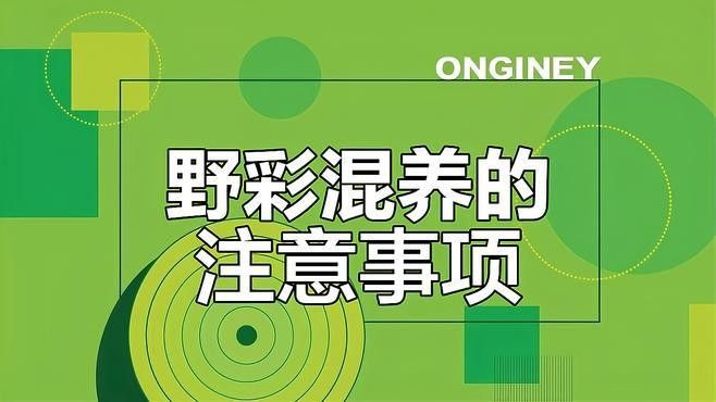 混養時如何避免攻擊行為？（養雞怕打架6個實用方法讓雞群和諧不互啄悅己茶舍魚缸）
