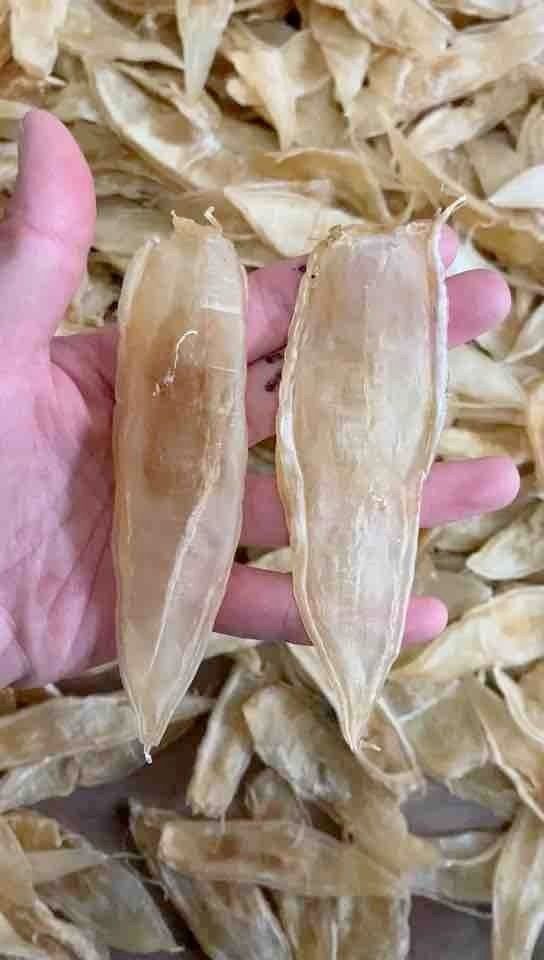 金龍魚膠產地是哪里（揭秘花膠中的滋補佳品）