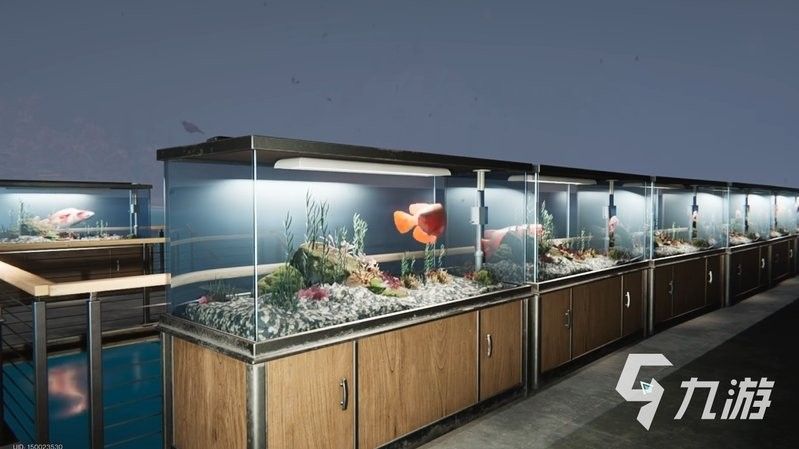 金龍魚在游戲中有何特殊功能（江湖風(fēng)云錄怎么獲取金龍魚）