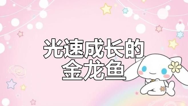 金龍魚在游戲中有何特殊功能（江湖風(fēng)云錄怎么獲取金龍魚）