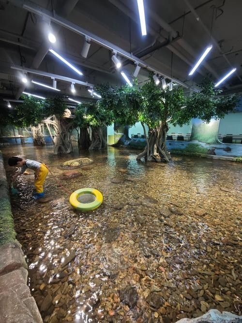 噶爾哪個水族館龍魚好？祥龍魚場龍魚（噶爾哪個水族館龍魚好）