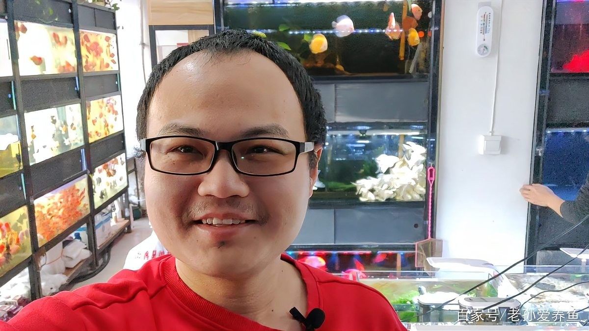 龍魚老孫店鋪有差評嗎？（“龍魚老孫”店鋪有差評嗎？）