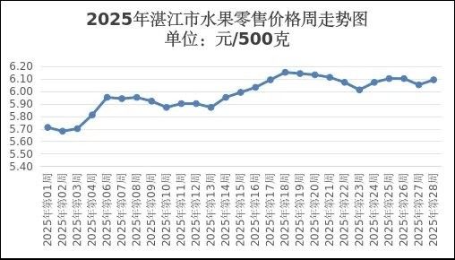 金龍魚的價格會波動嗎（金龍魚價格受多種因素影響）