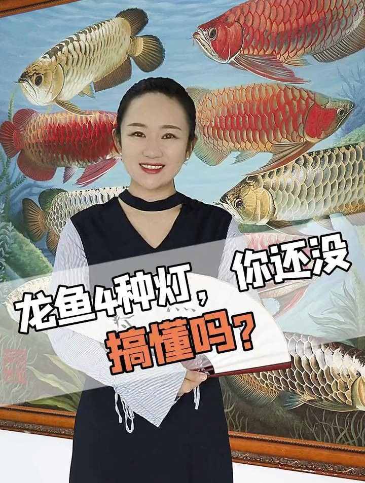 養紅龍魚用什么燈最好（紅龍魚燈具選擇）