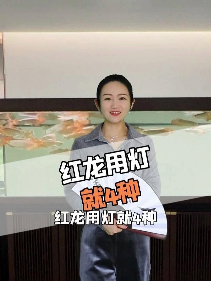 養紅龍魚用什么燈最好（紅龍魚燈具選擇）