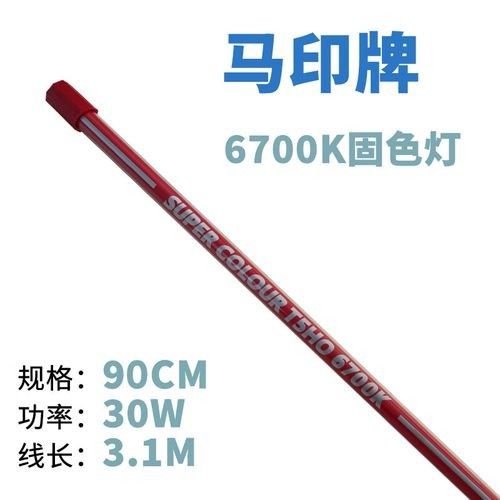 馬印過背金龍魚燈哪款最好（探討馬印過背金龍魚燈哪款最好時）