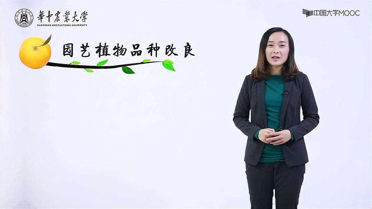 改良品種有哪些常見類型？（會寧縣人力資源和社會保障局第五講農作物品種選育）