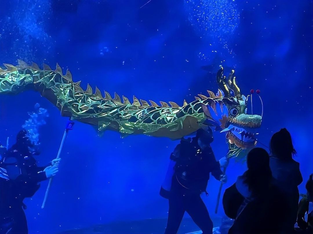 青浦哪個水族館龍魚好？祥龍魚場龍魚（上海海洋水族館春節(jié)展示最具“龍氣”的魚上觀新聞）