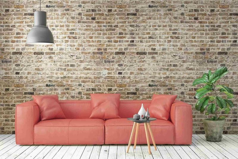 深海龍魚的市場需求如何（術魚，作為一種寵物市場的珍稀品種）