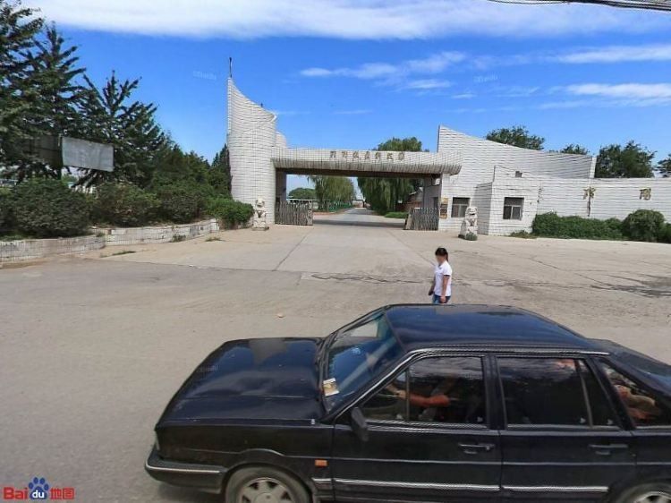 龍魚養殖基地的地址在哪里（廣州番禺區的龍魚養殖基地是一家專業的龍魚養殖場）