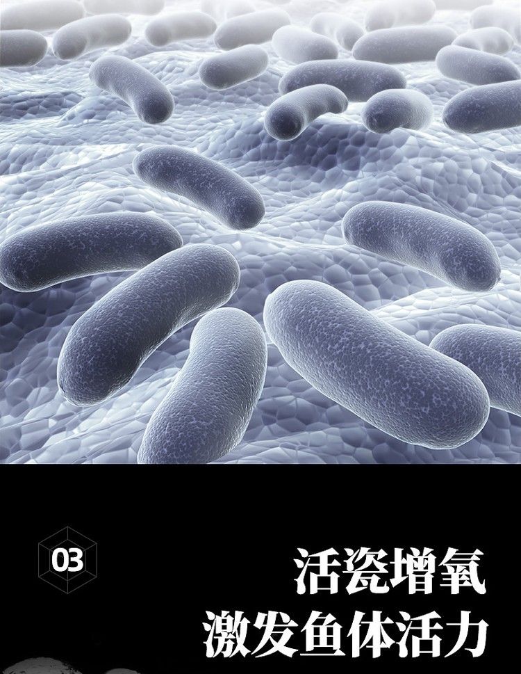 魚缸過濾材料細菌屋培菌環臺灣no1石英納米球魚池用凈水培菌濾材（專為魚缸設計的細菌屋培菌環）