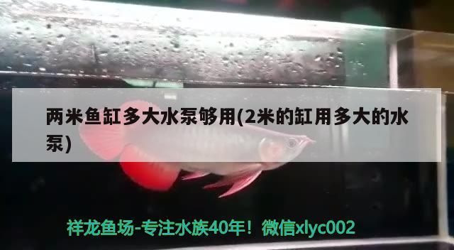 兩米魚缸多大水泵夠用(2米的缸用多大的水泵)（兩米魚缸多大水泵夠用）