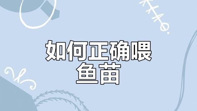 六角恐龍魚多久喂一次紅蟲？（六角恐龍魚喂養指南）