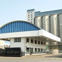 鲅魚圈金龍魚公司屬于什么單位（鲅魚圈金龍魚公司是國企嗎）