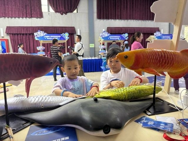 金龍魚仿生機器人未來有何發展規劃（金龍魚仿生機器人未來發展規劃）