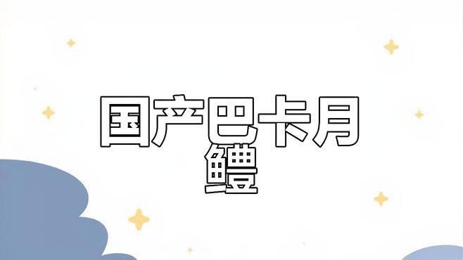 月鱧雷龍魚（月鱧雷龍魚中的珍珠赤存款機）