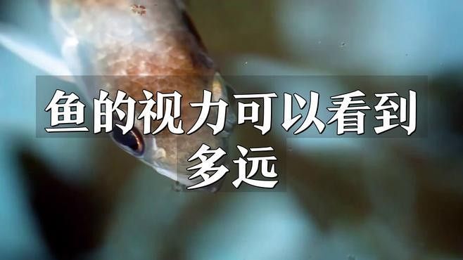 紅龍魚眼睛顏色變化正常嗎（紅龍魚眼睛顏色變化是否正常）