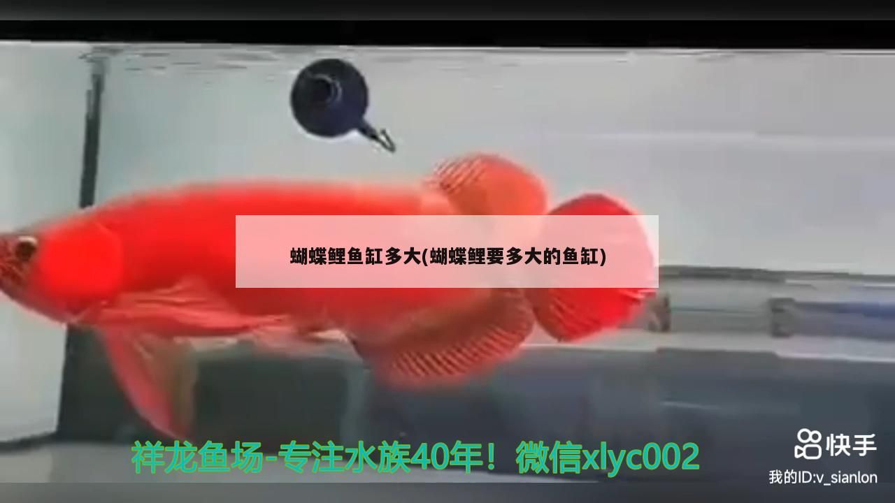 廣州賣龍魚地址在哪里廣州賣龍魚地址在哪里呀，廣州賣龍魚地址在哪里呀