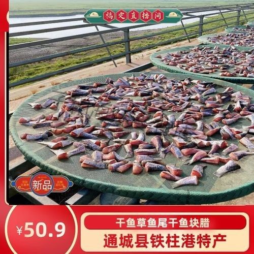 通城金龍魚價格表和圖片（通城金龍魚價格表和圖片，通城金龍魚的養殖方法是什么）