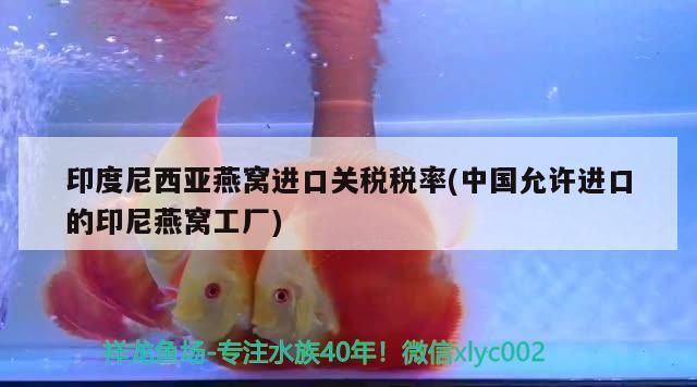 黃石哪里有賣魚缸的地方在哪（黃石漁具批發市場在哪里）（西安哪里有賣魚缸的地方）
