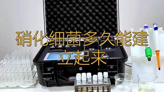 消毒后如何快速建立硝化系統(tǒng)？（如何在消毒后迅速建立有效的硝化系統(tǒng)）