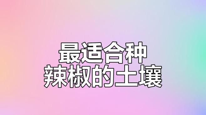 紅龍辣椒的種植方法（種植紅龍辣椒的簡(jiǎn)單方法）