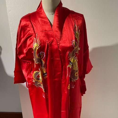 紅龍服飾有哪些經典款式？（紅龍服飾的經典款式包括經典款式之一其經典款式之一）