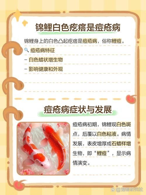 錦鯉常見(jiàn)魚(yú)病鑒別圖（基于癥狀的錦鯉常見(jiàn)魚(yú)病鑒別指南）