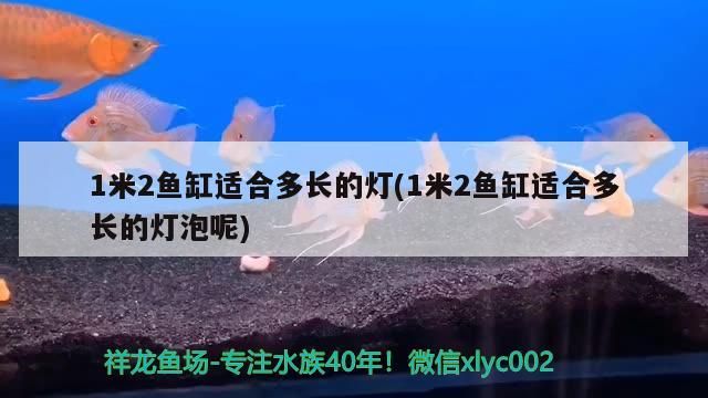 魚缸用增氧泵價格是多少:魚缸增氧機-xtrac增氧機-xtrac增氧機 1米2魚缸適合多長的燈(1米2魚缸適合多長的燈泡呢)(1米2魚缸適合多長的燈) 觀賞魚百科 1米2魚缸適合多長的燈(1米2魚缸適合多長的燈泡呢)(1米2魚缸適合多長的燈) 1米2魚缸適合多長的燈(1米2魚缸適合多長的燈泡呢)(1米2魚缸適合多長的燈) 觀賞魚百科