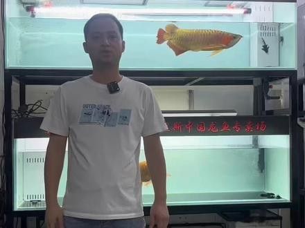 廣東哪個水族館龍魚好？祥龍魚場龍魚（龍魚之家水族館360地圖,）