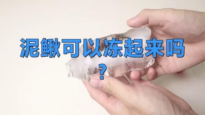 處理后的泥鰍可以保存多久？（處理后的泥鰍可以保存多久）