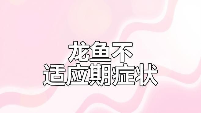紅龍魚的最佳喂食頻率（紅龍魚最佳喂食頻率需根據其生長階段、水溫、季節和健康狀況綜合調整）