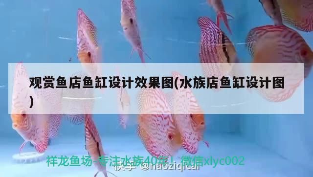 觀賞魚店魚缸設(shè)計(jì)效果圖(水族店魚缸設(shè)計(jì)圖)（觀賞魚店魚缸設(shè)計(jì)效果圖）