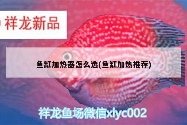 魚缸加熱器怎么選(魚缸加熱推薦)（魚缸加熱棒、加熱棒、加熱棒、sunsun/森森森水族箱加熱棒） 魚缸加熱器怎么選(魚缸加熱推薦)（魚缸加熱棒、加熱棒、加熱棒、sunsun/森森森水族箱加熱棒） 觀賞魚百科