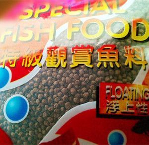 觀賞魚和魚食去什么地方批發：如何選擇觀賞魚批發市場