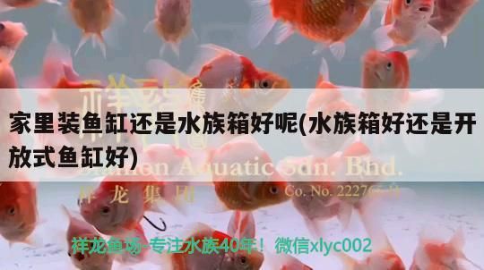 沈陽觀賞魚批發(fā)市場電話是多少(沈陽觀賞魚批發(fā)市場電話是多少號(hào)碼)
