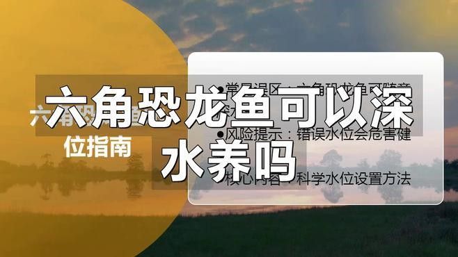 恐龍魚幼魚需要多大的魚缸
