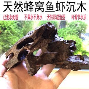 龍魚老是趴缸怎么辦視頻教程（龍魚趴缸怎么辦？）
