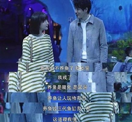 龍魚美容師需要哪些技能